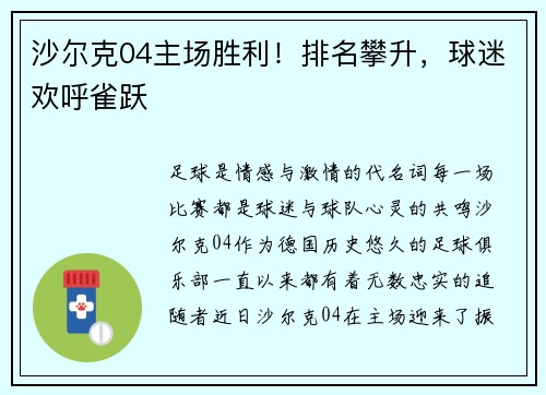 沙尔克04主场胜利！排名攀升，球迷欢呼雀跃